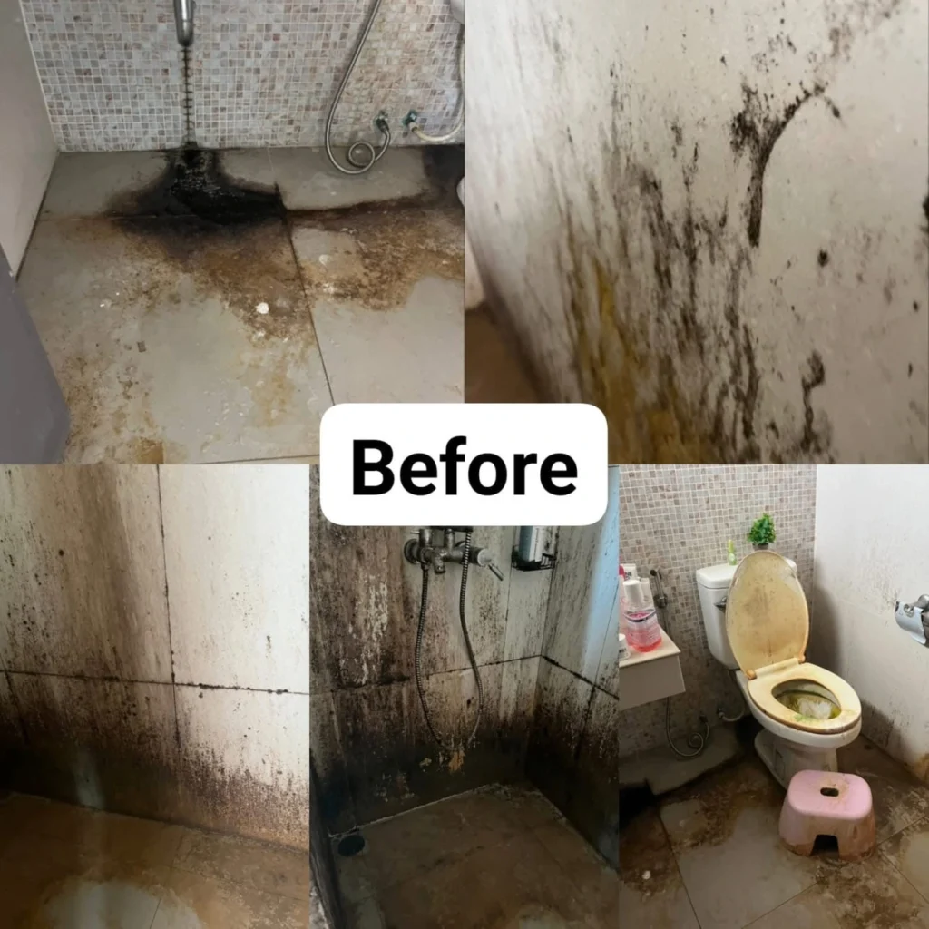 S1K_cleaning_Reference