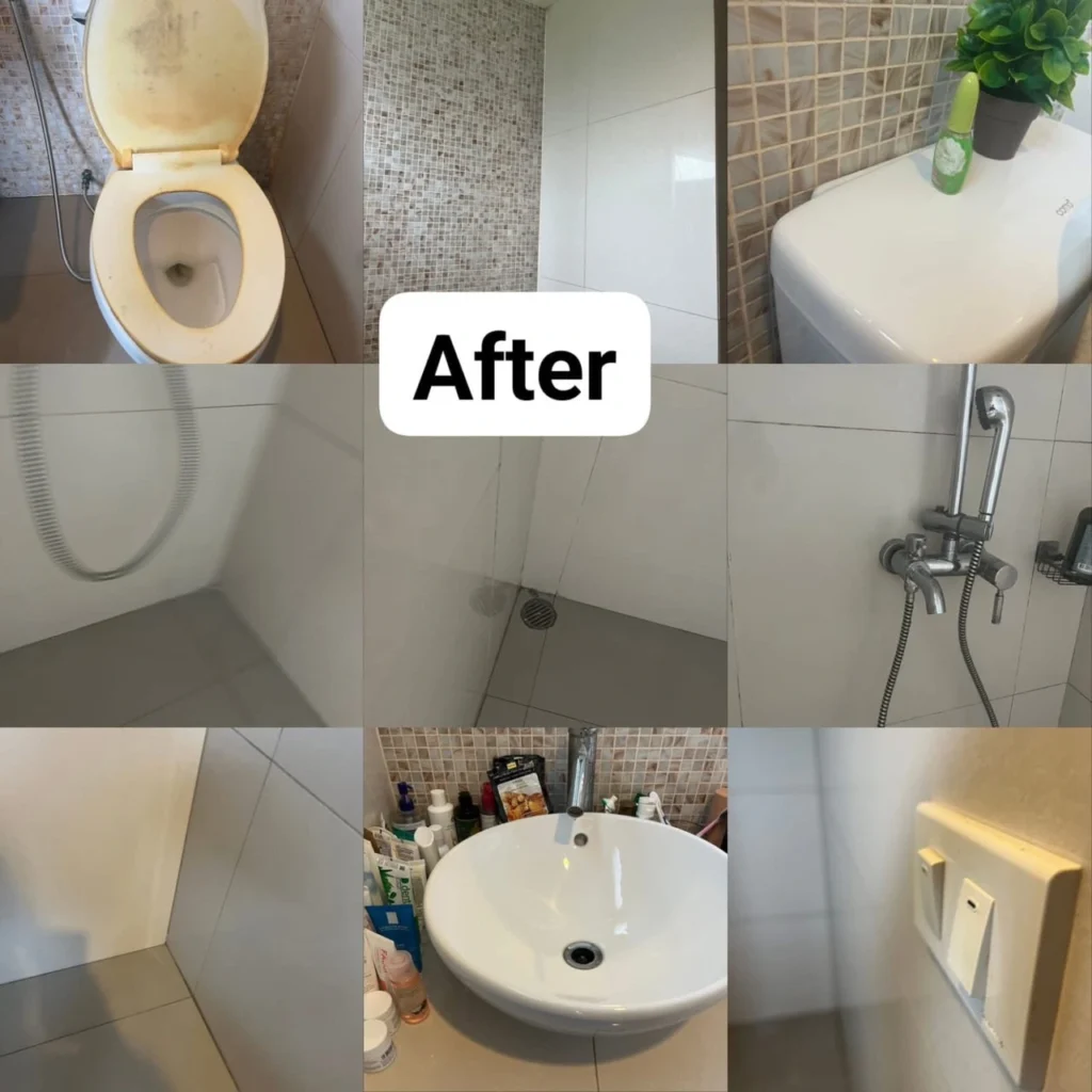 S1K_cleaning_Reference