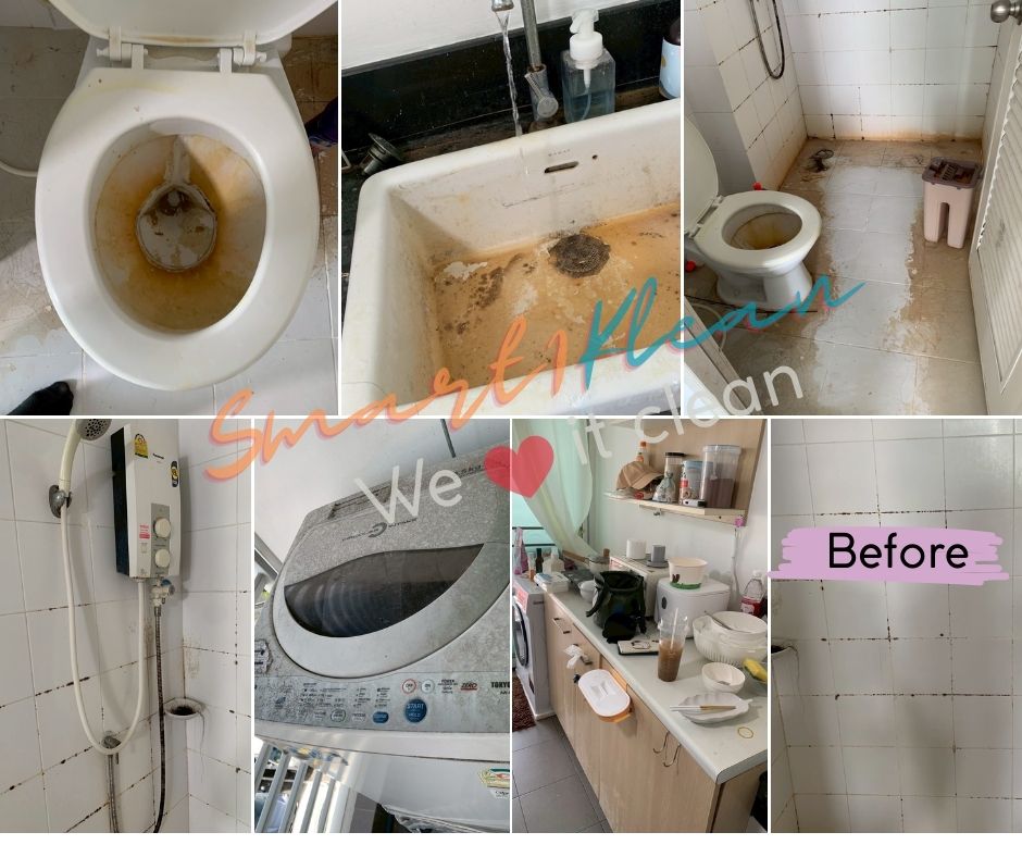 smart1klean_refernce