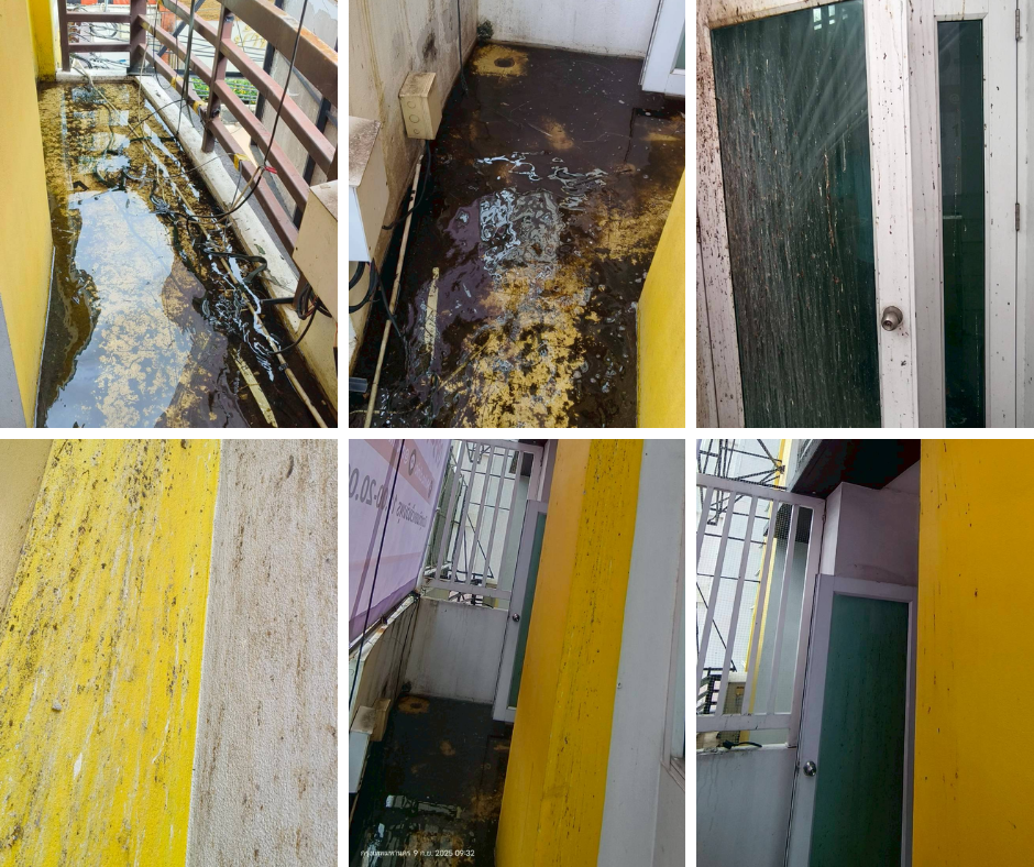 smart1klean_Focus_cleaning_reference-_1_