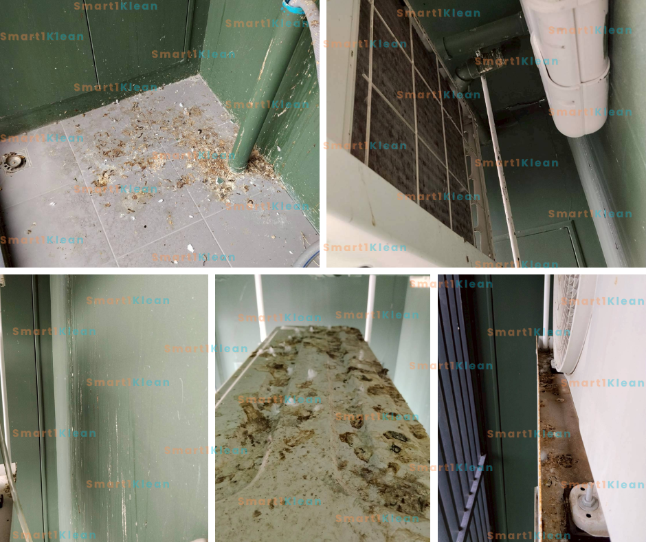 smart1klean_focus clean_cleaning_reference-_2_